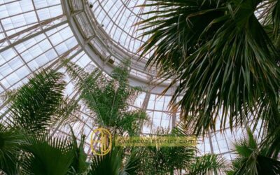 Plafon taman menghadirkan konsep hijau di dalam ruangan. Temukan ide kreatif & tips aplikasinya bersama Alesha Interior